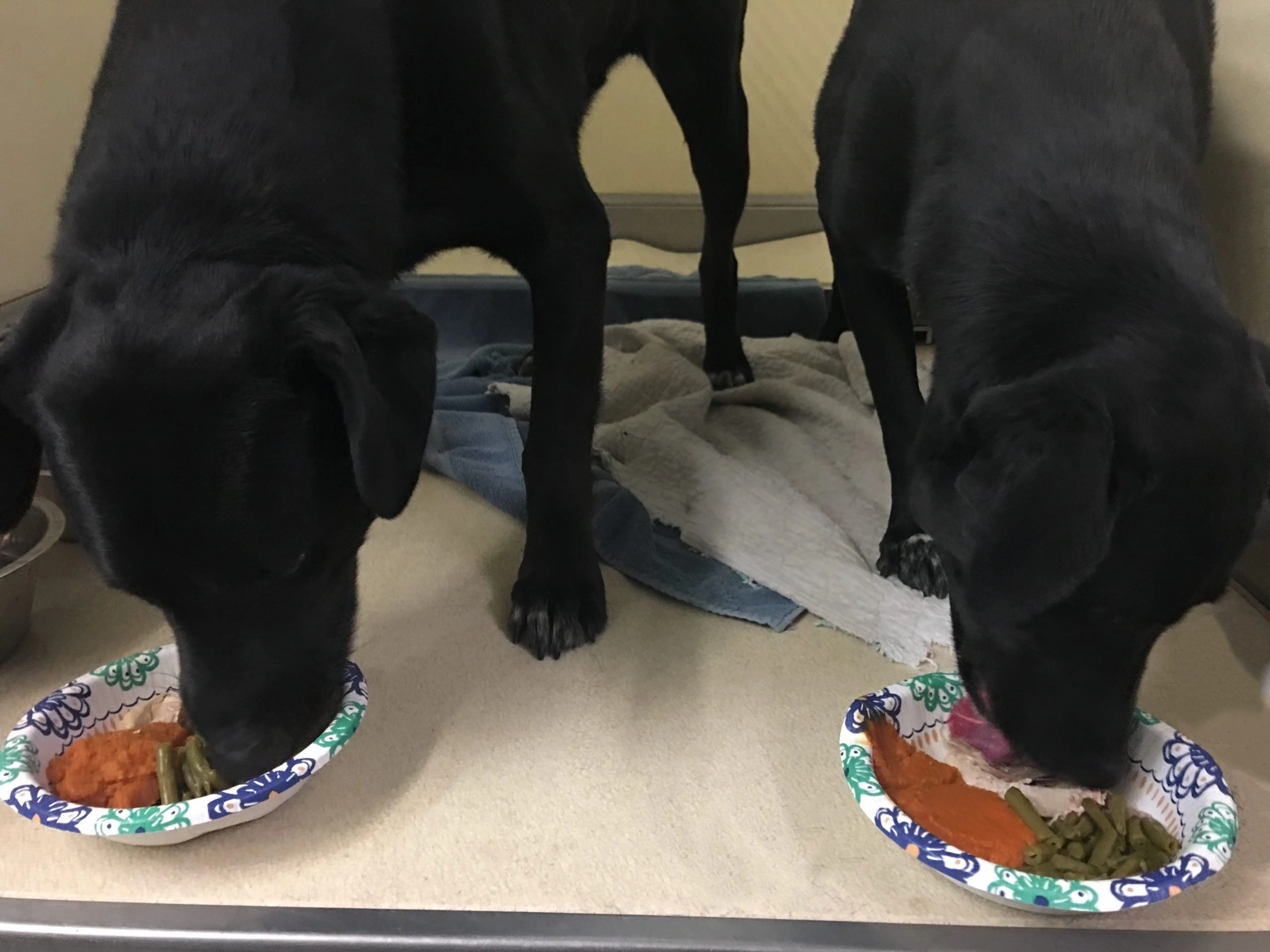 Optional Holiday Meal