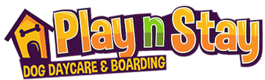 Play N Stay Logo